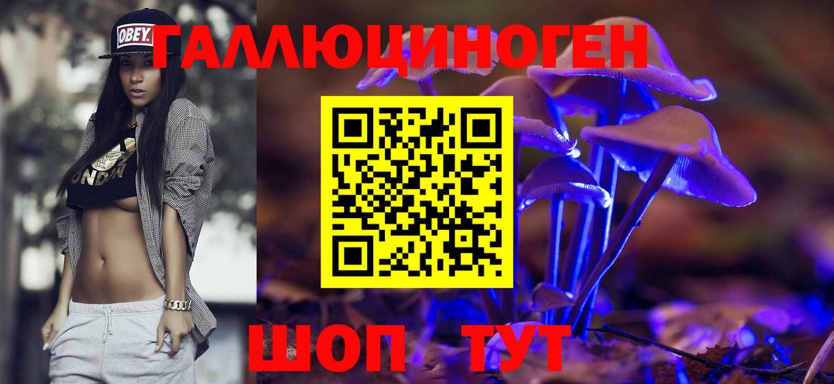 Псилоцибиновые грибы MAGIC MUSHROOMS  Вход с VPN  Железноводск 